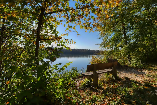 在哈工大任 在哈工大任