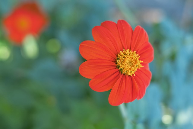 游泳设施的 游泳设施的