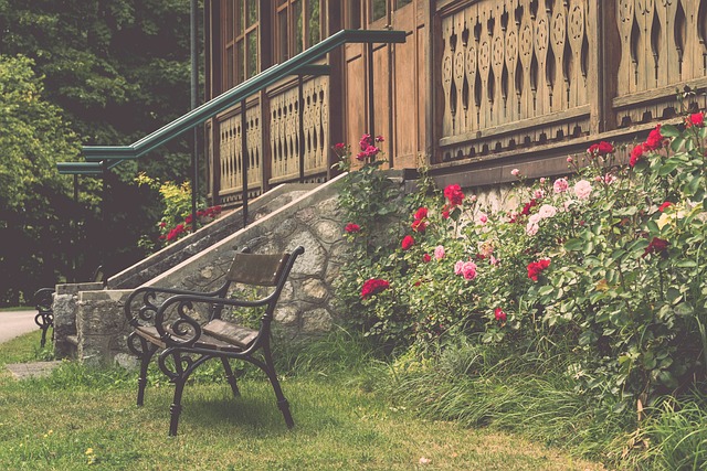 球场上的 球场上的