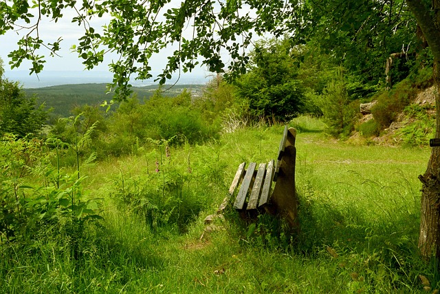 多夫比克继 多夫比克继