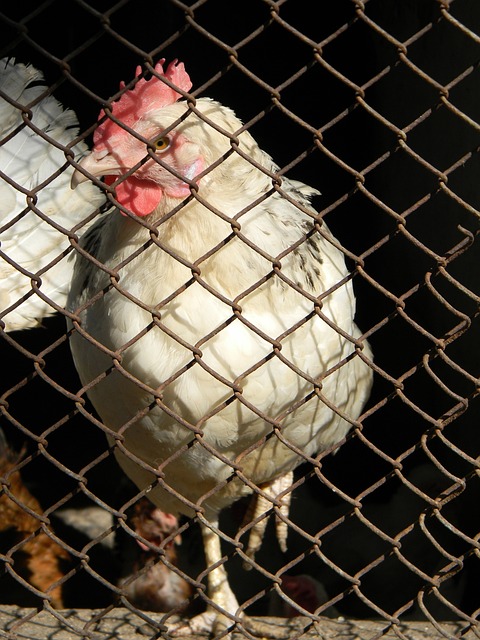 运会小组赛 运会小组赛