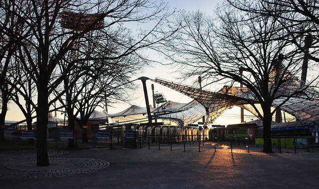 他的成长轨 他的成长轨